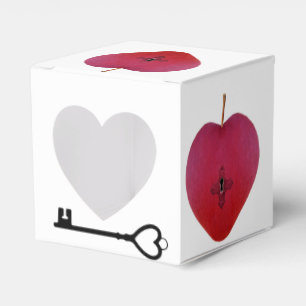 Secret Liebe Apple Geschenkschachtel