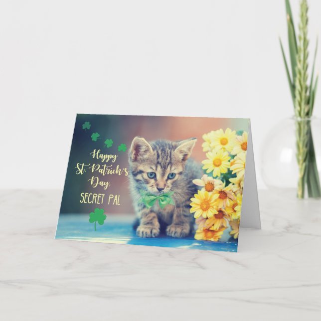 Secret Pal St. Patrick's Day Kitten mit Daisies Karte (Vorderseite)