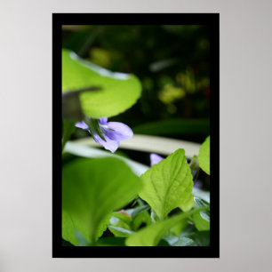 Secret Violet Floral Fotoster Poster