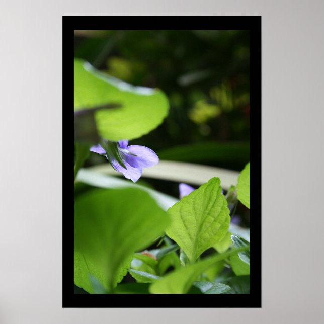 Secret Violet Floral Fotoster Poster (Vorne)