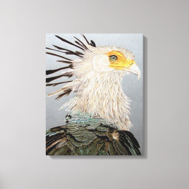 Secretary Bird Leinwanddruck (Vorderseite)