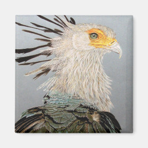 Secretary Bird Magnet