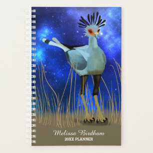 Secretary Bird Planer