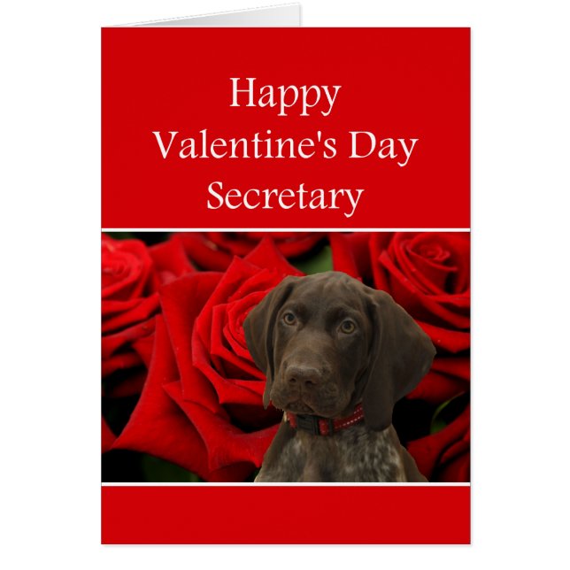 Secretary Glossy Grizzine Valentine Puppy Liebe (Vorne)