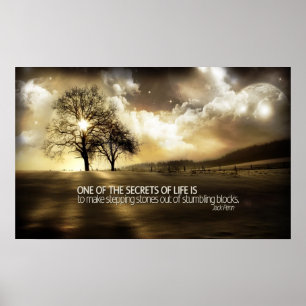 Secrets of Life Motivational Poster Print