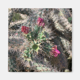 Sedona Pink Cactus Bloom Desert Magnet