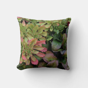 Sedum, Ajuga, Iris und Columbine Kissen