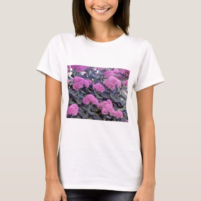 Sedum Herbst-Freude T-Shirt (Vorderseite)