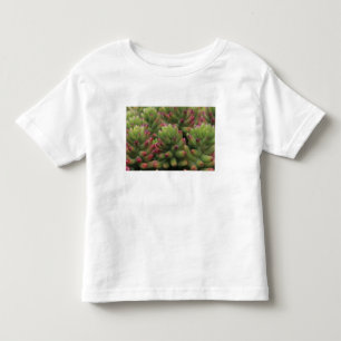 Sedum-Pflanze, Wüstenmuseum Arizona-Sonora, Kleinkind T-shirt