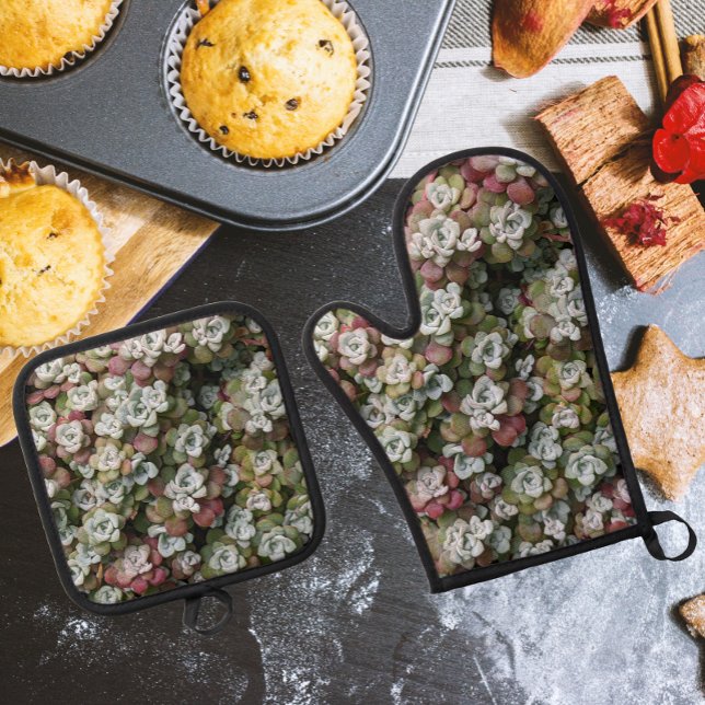 Sedum Spathulifolium Stonecrop Botanisch Ofenhandschuh & Topflappen-Set (In Situ Kitchen)