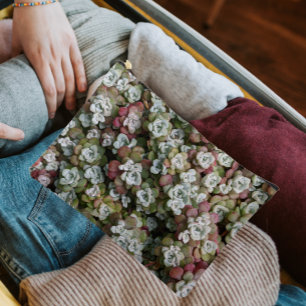 Sedum Spathulifolium Stonecrop Floral Zubehörtasche