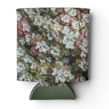 Sedum Spathulifolium Succules floral