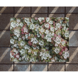 Sedum Spathulifolium Succules floral Fußmatte