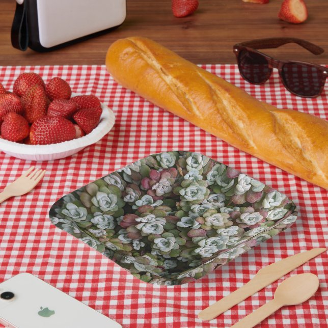 Sedum Spathulifolium Succules floral Pappteller (Picknick)