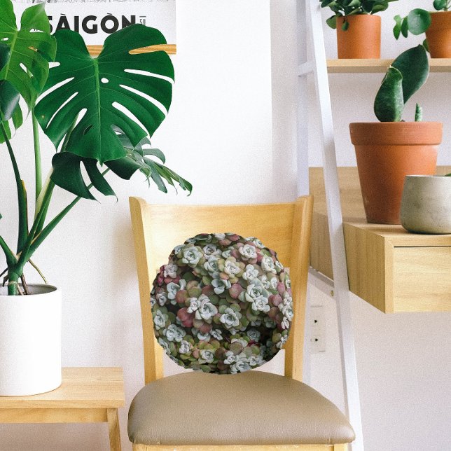 Sedum Spathulifolium Succules floral Rundes Kissen (In Situ Chair)