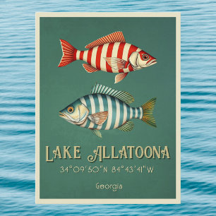 See Allatoire Georgia Fisch Postkarte