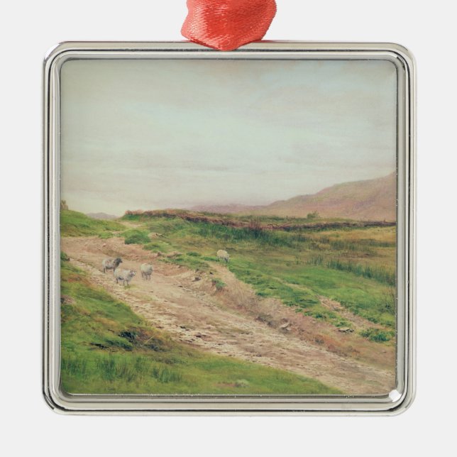 See-Bezirk Ornament Aus Metall (Vorne)