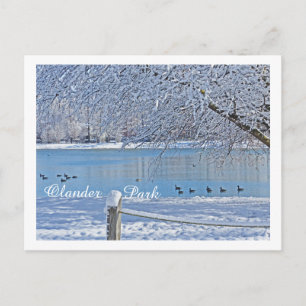 SEE IM WINTER/ÄLTERER PARK, SYLVANIEN, OH POSTKARTE