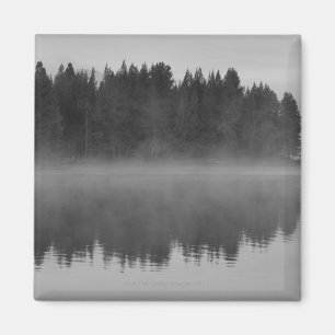 See mit Nebel, Oregon Magnet