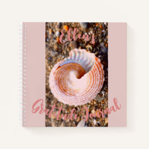 SEE MUSCHEL STRAND NATUR FOTO GRATITUDE JOURNAL NOTIZBUCH