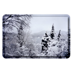 See Nojiri Flexible Magnet