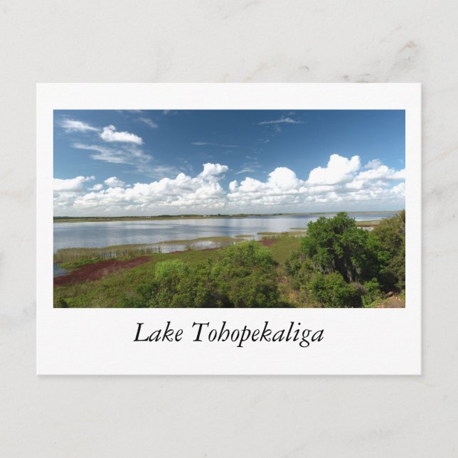 See Tohopekaliga Florida Postkarte (Vorderseite)