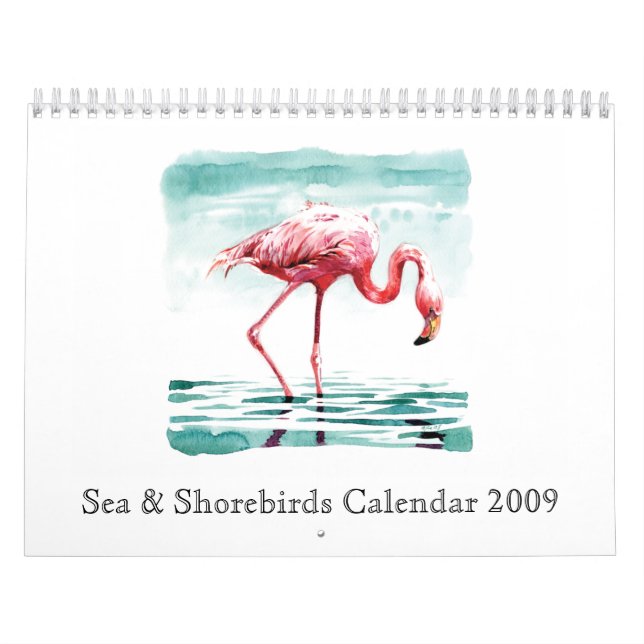 See-u. Shorebirds-Kalender 2009 Kalender (Titelbild)