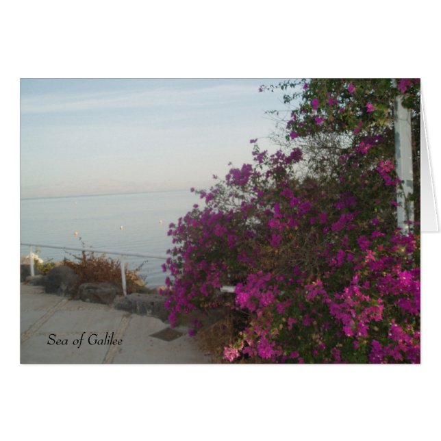 See von Galilee Card (Vorderseite (Horizontal))