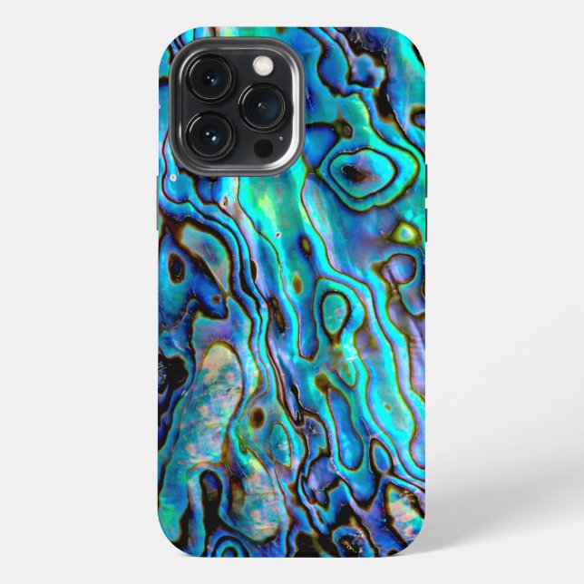 Seeabalone-Schale iPhone Hülle (Rückseite)