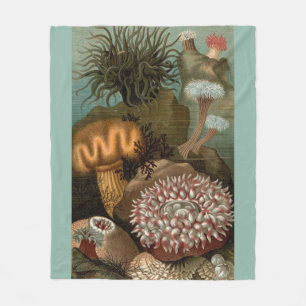 Seeanemone aus dem 19. Jahrhundert Fleecedecke