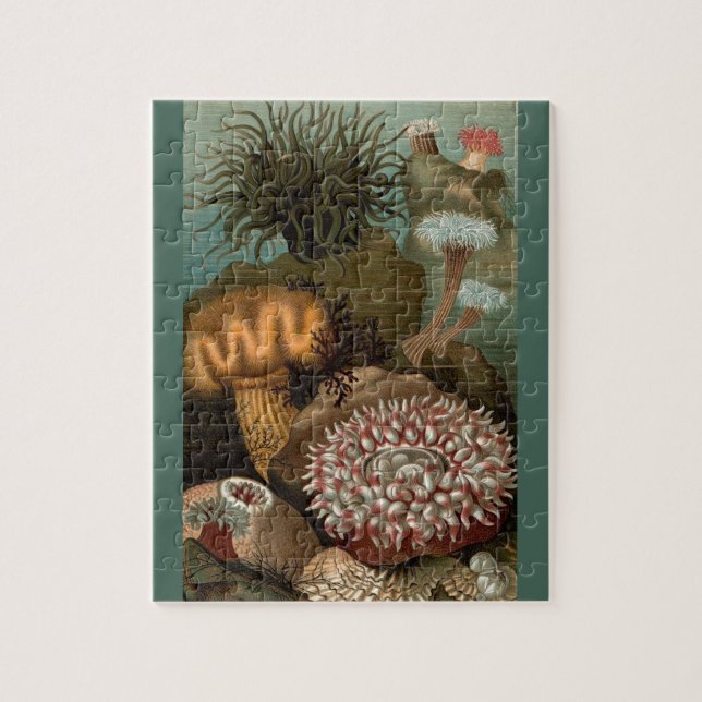 Seeanemone aus dem 19. Jahrhundert Puzzle (Vertikal)