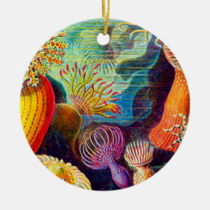 Seeanemone - Ernst Haeckel Keramik Ornament