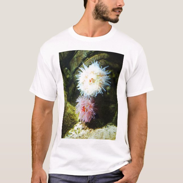 Seeanemone T-Shirt (Vorderseite)