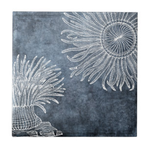 Seeanemone-Wasserfarbe-Dämmerung-Ozean-Blau-Weiß Fliese