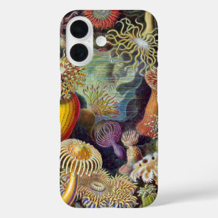 Seeanemone Wissenschaftliche Natur Ozean iPhone 16 Hülle