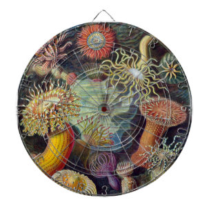 Seeanemone wissenschaftliche Natur Ozean Dartscheibe