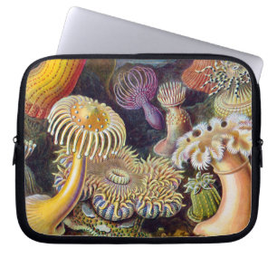 Seeanemone wissenschaftliche Natur Ozean Laptopschutzhülle