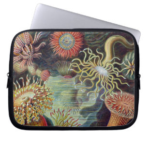 Seeanemone Wissenschaftliche Natur Ozean Laptopschutzhülle