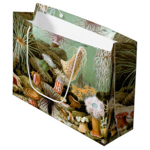 Seeanemonen Meeresleben, Vintage Meereslebewesen Große Geschenktüte