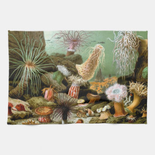 Seeanemonen Meeresleben, Vintage-Ozean-Tiere Handtuch