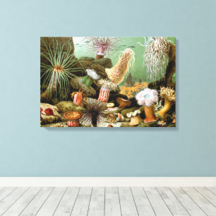Seeanemonen Meeresleben, Vintage-Ozean-Tiere Leinwanddruck