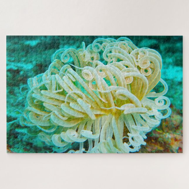 Seeanemonen Puzzle (Horizontal)