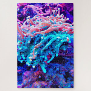 Seeanemonen Puzzle