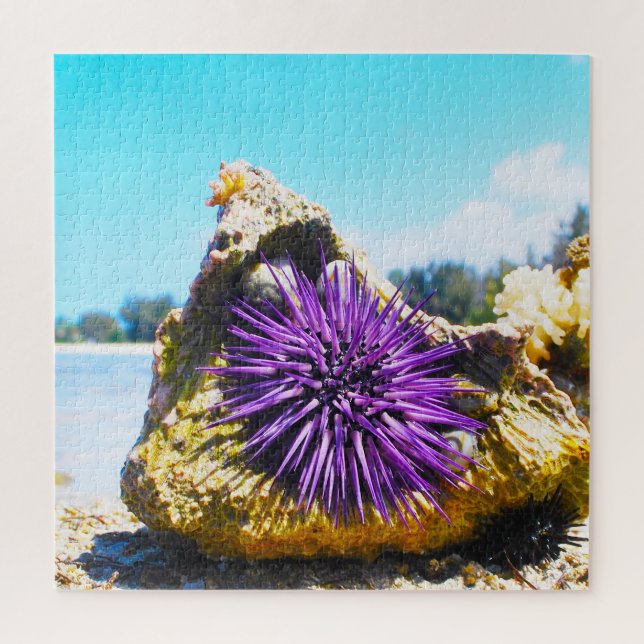 Seeanemonen Puzzle (Vertikal)