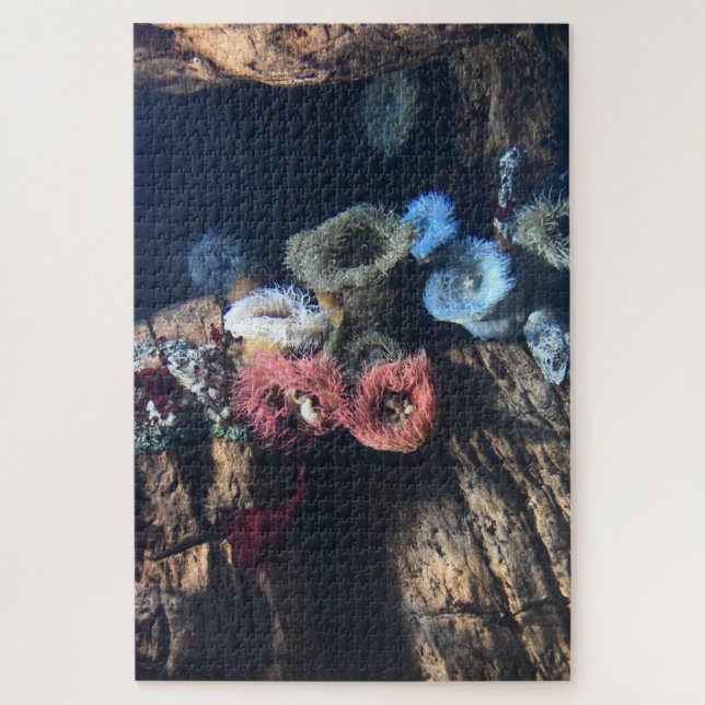 Seeanemonen. Puzzle (Vertikal)
