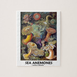 Seeanemonen Puzzle