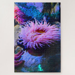 Seeanemonen. Puzzle
