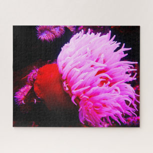 Seeanemonen Puzzle