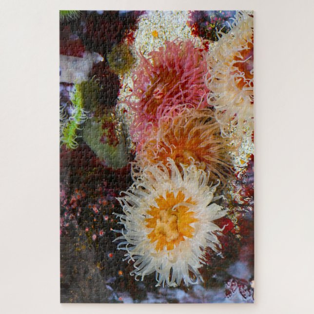 Seeanemonen. Puzzle (Vertikal)