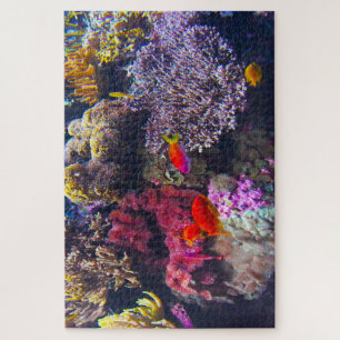 Seeanemonen und tropische Fische. Puzzle